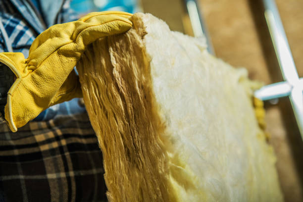 Best Insulation Installation Services in St George, SC