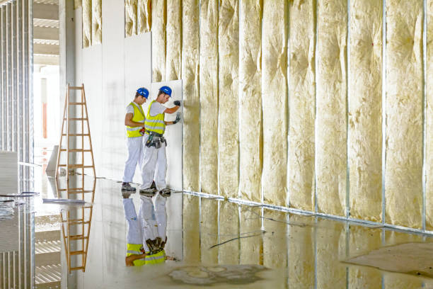 Best Insulation for Specific Applications in St George, SC